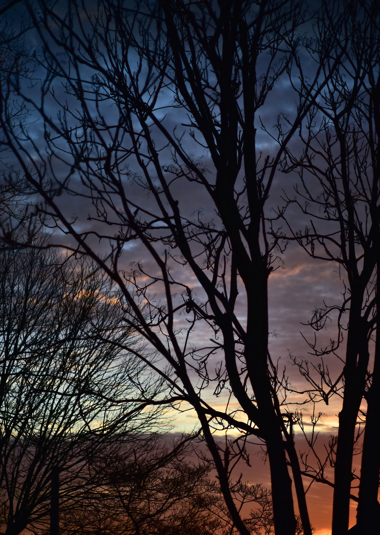 Sunday Sunset